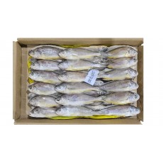 참조기 (봉화) 40/42미