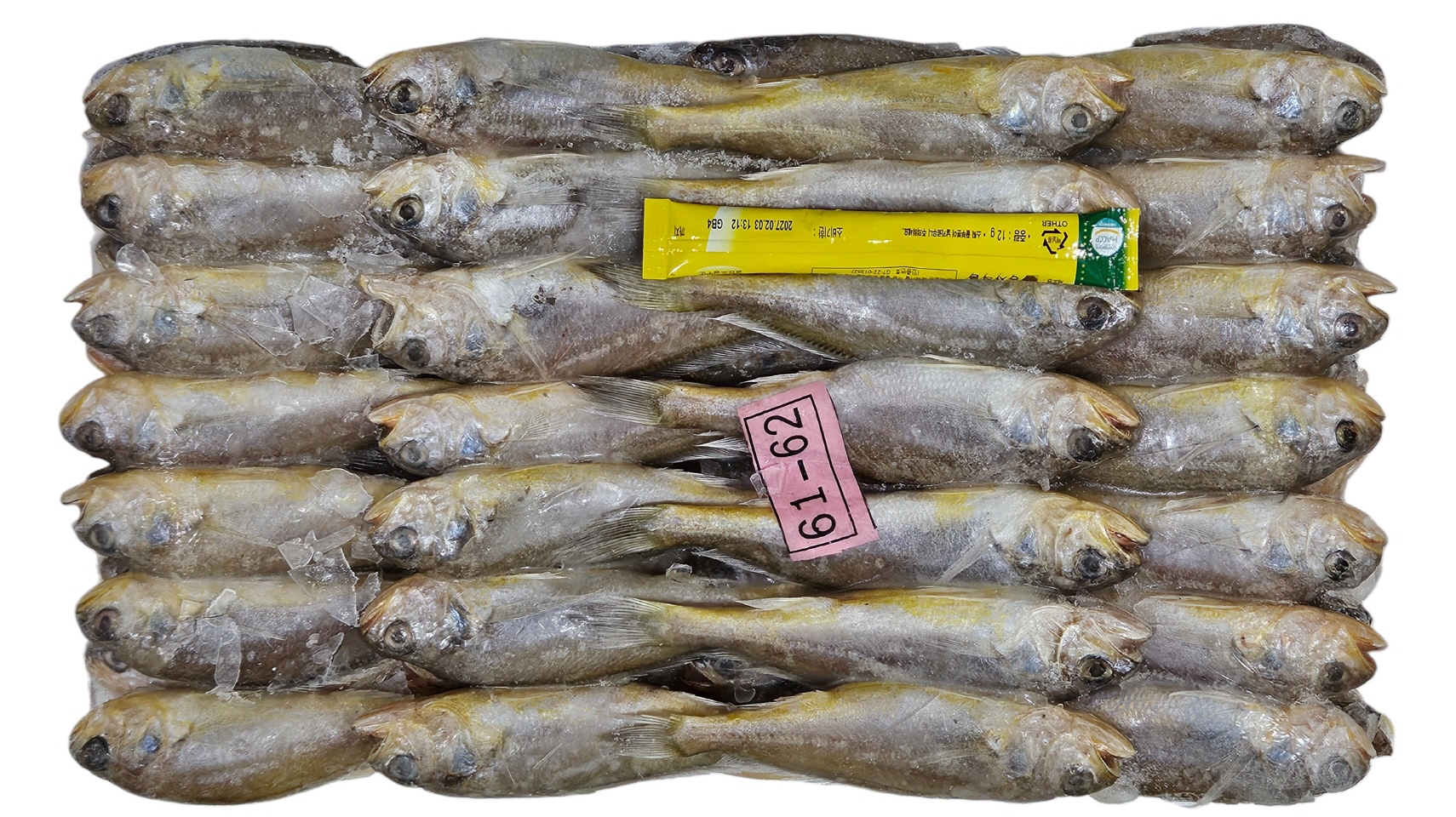 참조기 (봉화) 61/63미