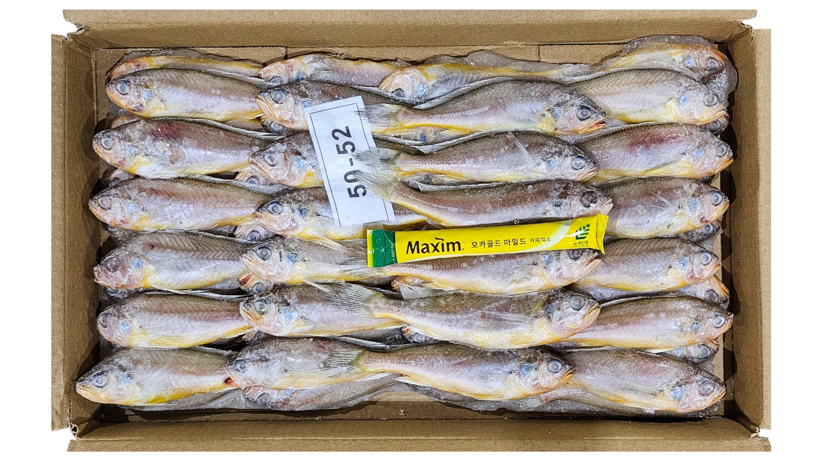 참조기 (봉화) 50/52미 2.8k