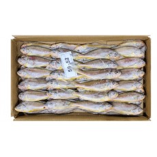 참조기 (봉화) 50/52미 2.8k