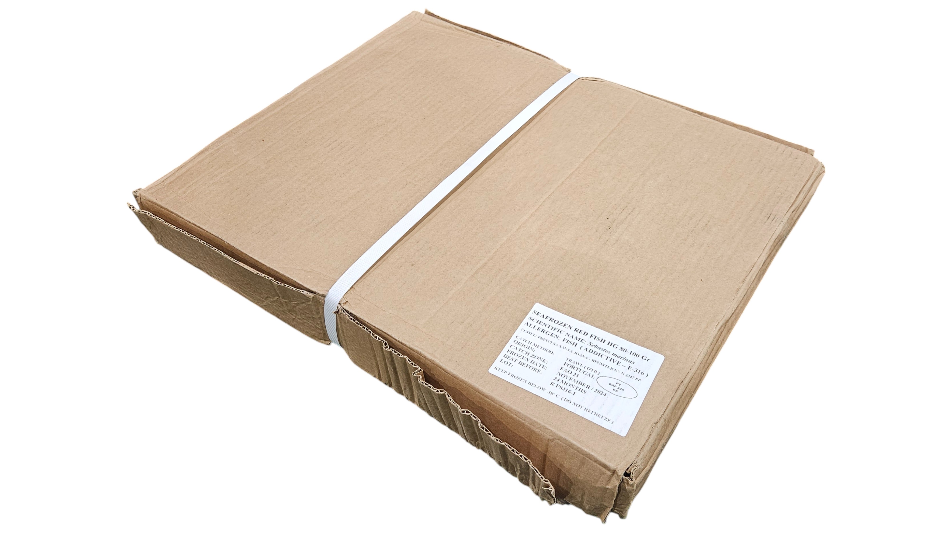 두절 적어 3S(열기, 장문뽈락) 80/100 , 포르투갈