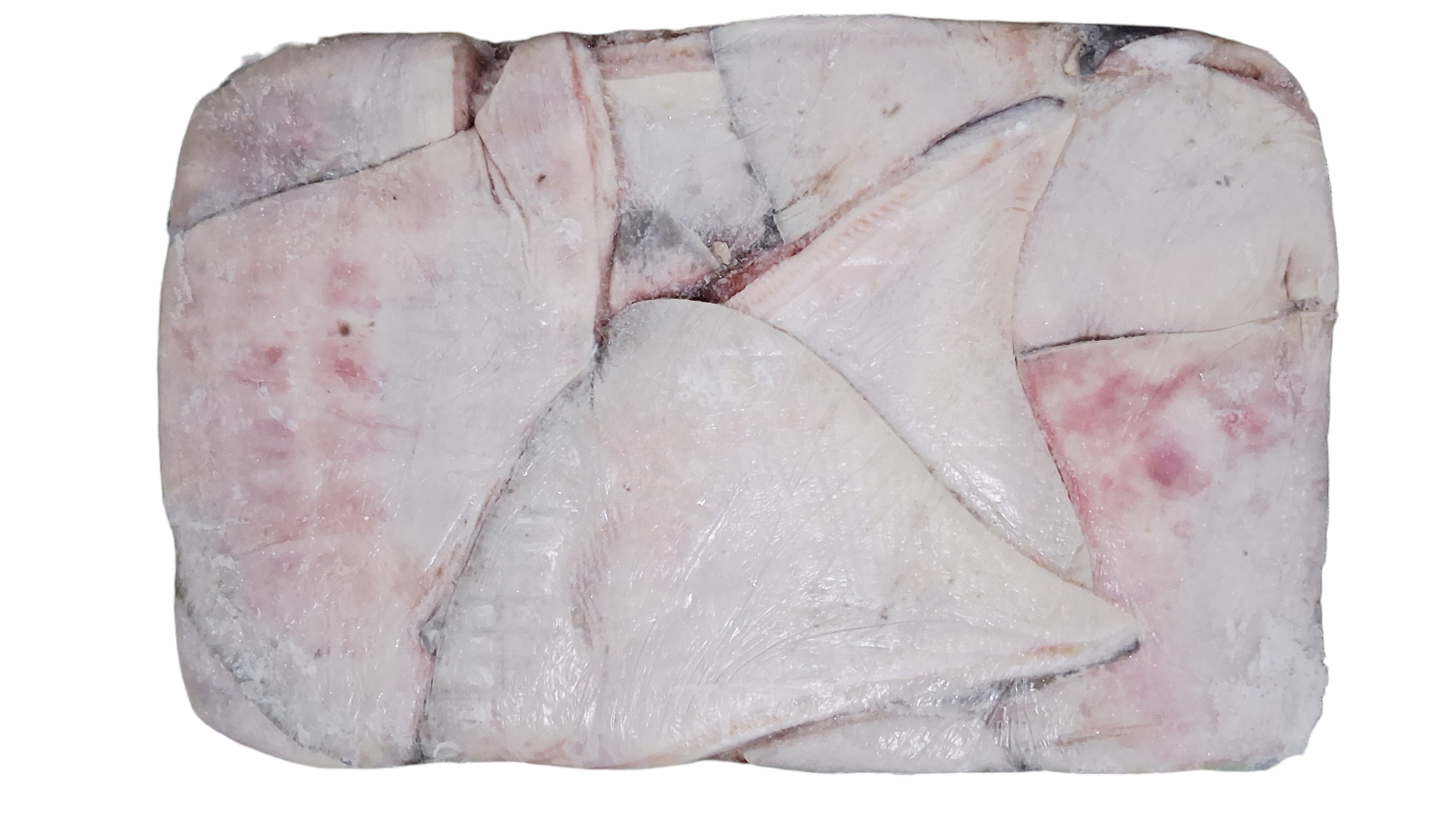 가오리 날개 (무탈피) 1000up _ 러시아