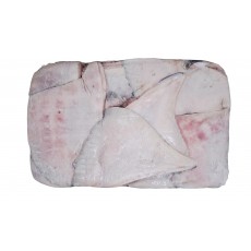 가오리 날개 (무탈피) 1000up _ 러시아