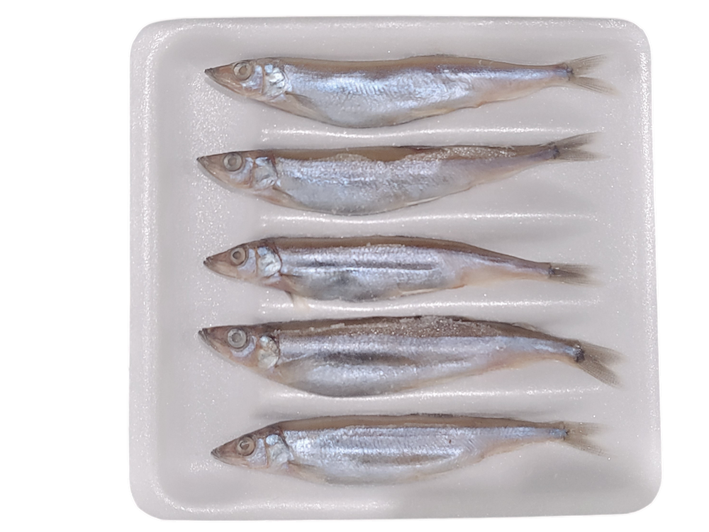 시사모 (4L, 트레이) _ 아이슬란드