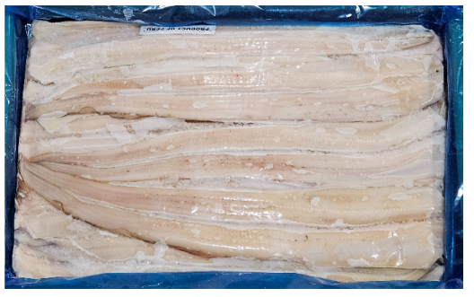 페루장어(바다장어) 56/60 (팬당 16미 내외)