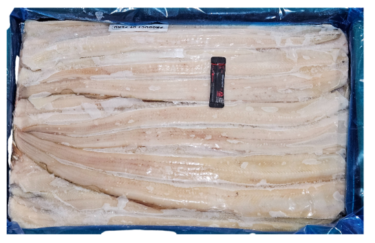 페루장어(바다장어) 56/60 (팬당 16미 내외)