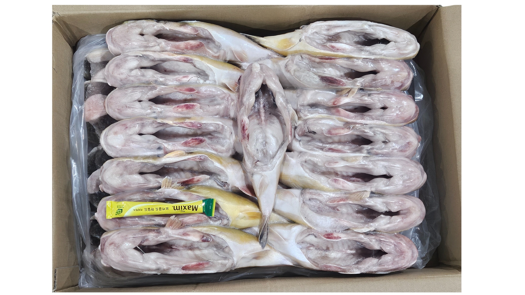 밀복 / 금밀복 500/100 (내장제거, 중국)