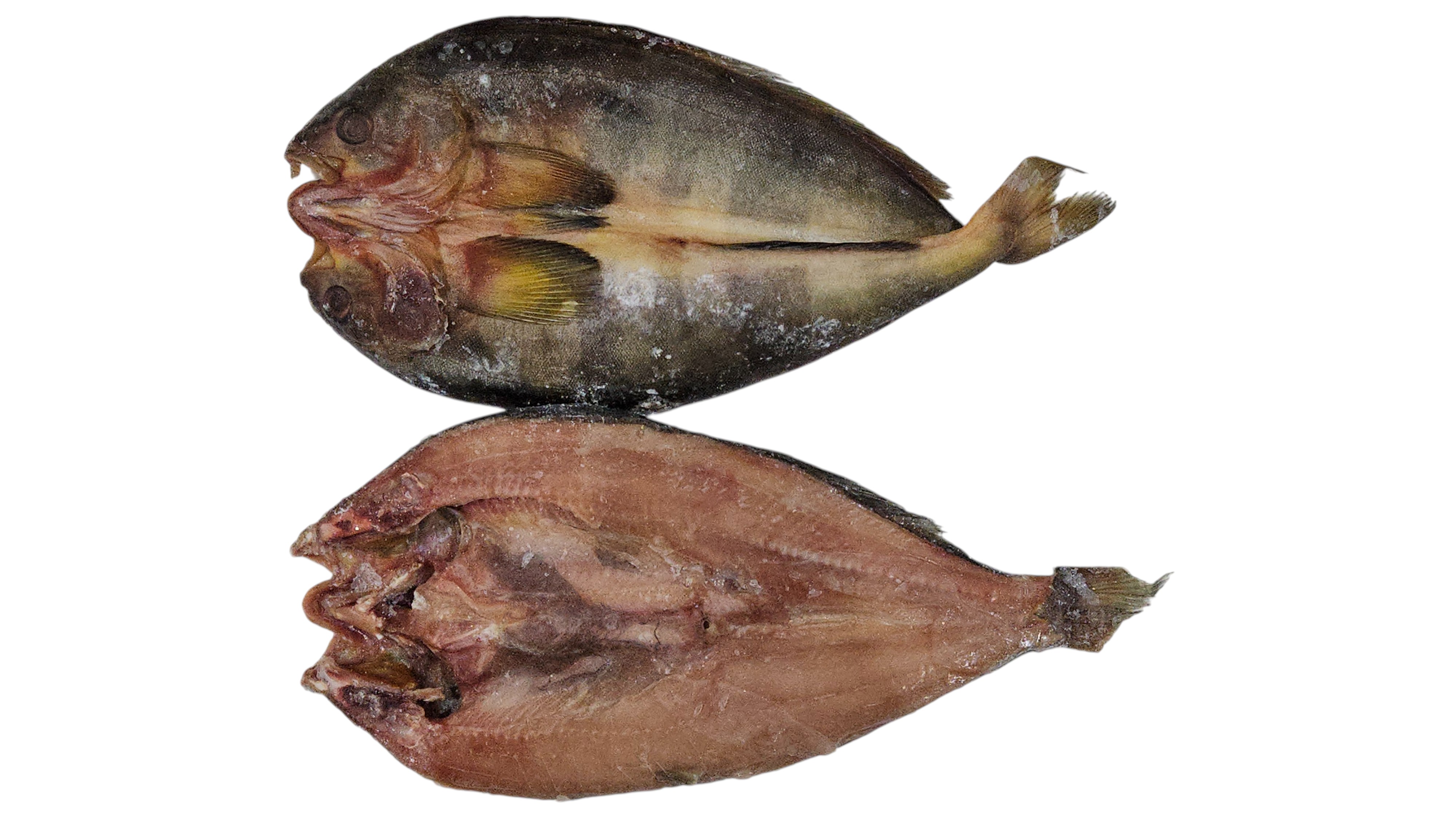 손질임연수(할복, 버터플라이) 14미