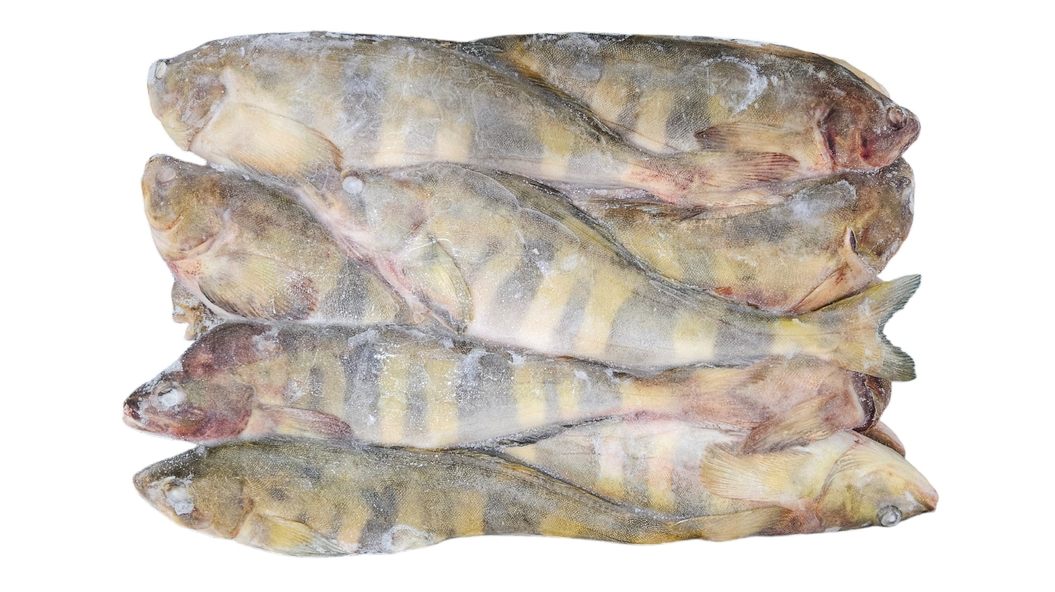 냉동 임연수 3L (17~ 21마리)