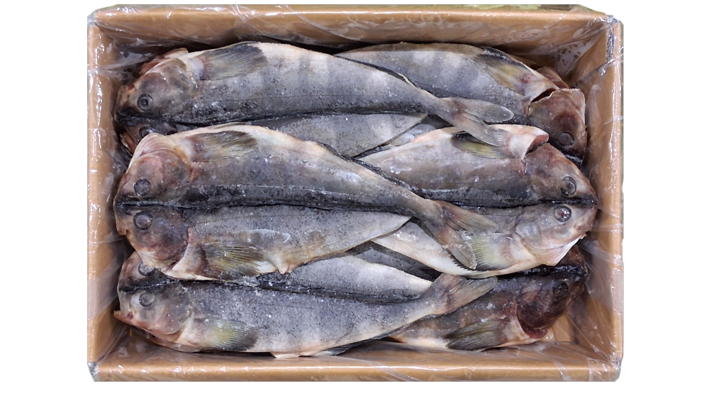 손질임연수(할복, 버터플라이) 11미