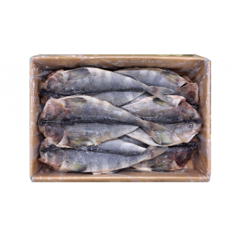 손질임연수(할복, 버터플라이) 11미