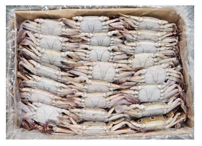 국내산 암꽃게 (중) 38/42미 (10kg, 선별제품)