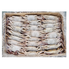 국내산 암꽃게 (중) 38/42미 (10kg, 선별제품)