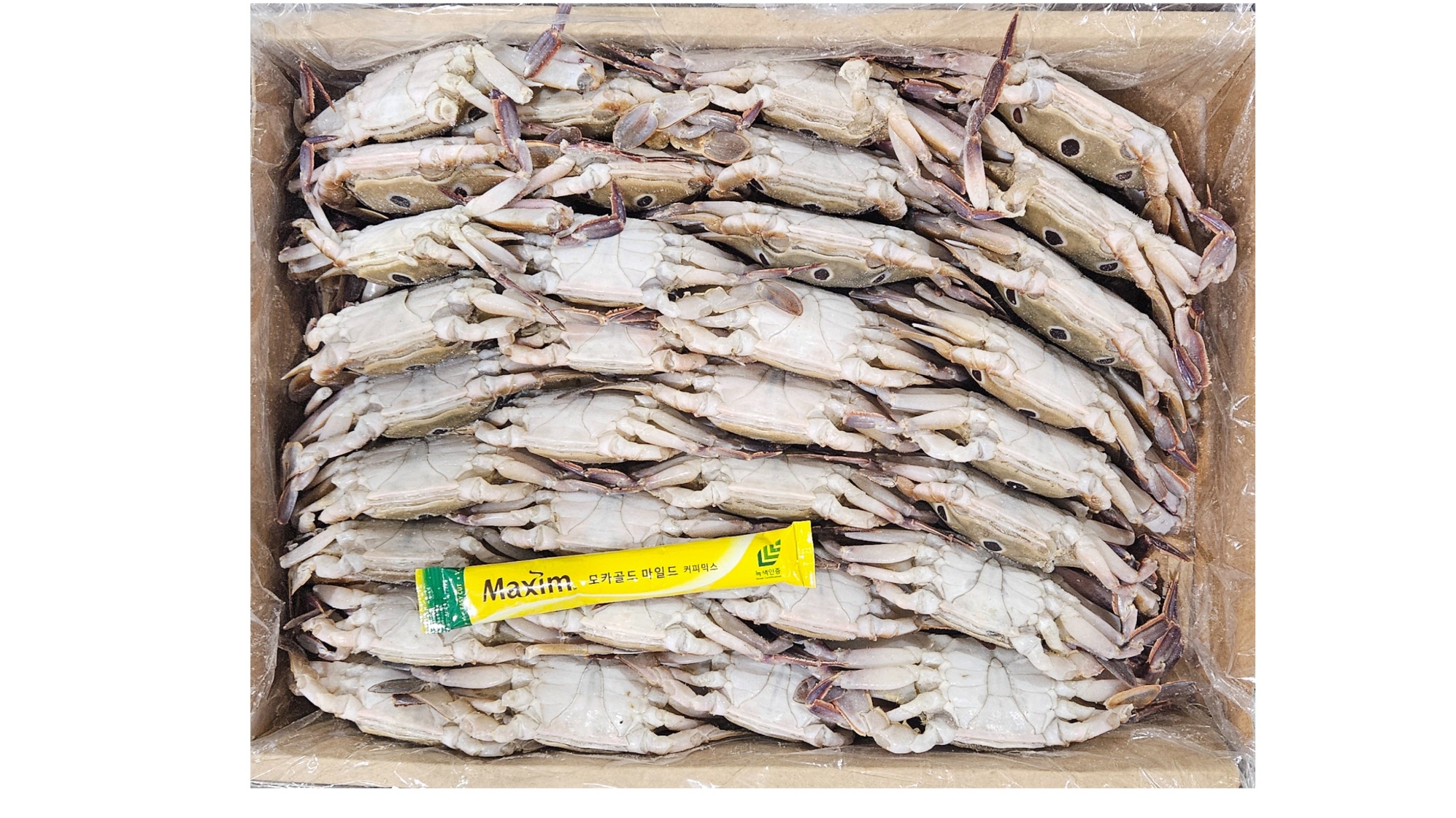 파키스탄 삼점게(숫게) 80/100 (6kg, 60미 내외)