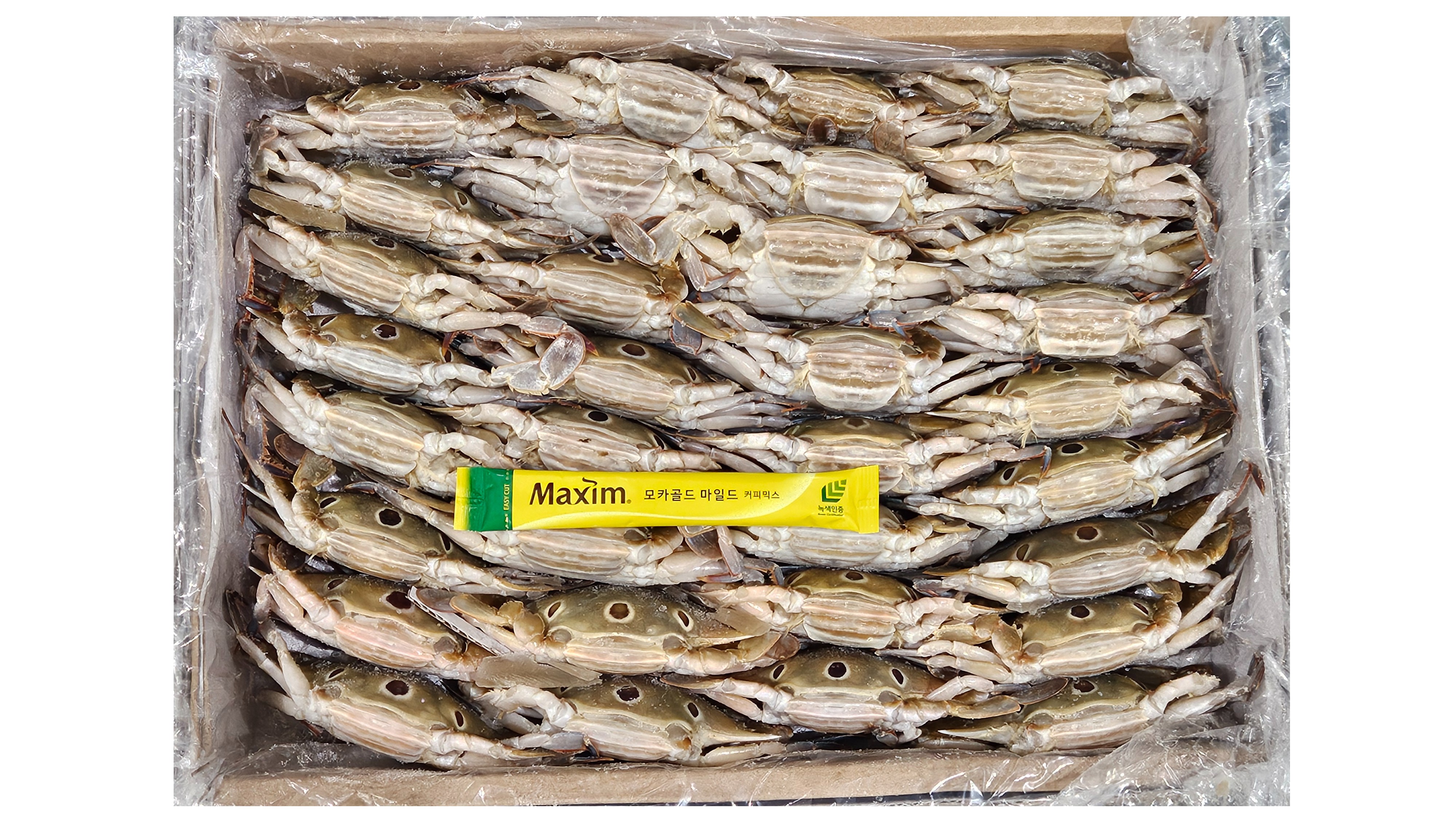 파키스탄 삼점게 (암게) 80/100