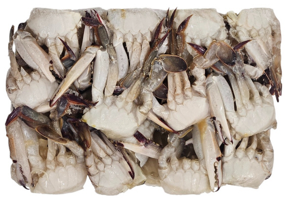 중국산 절단꽃게 S