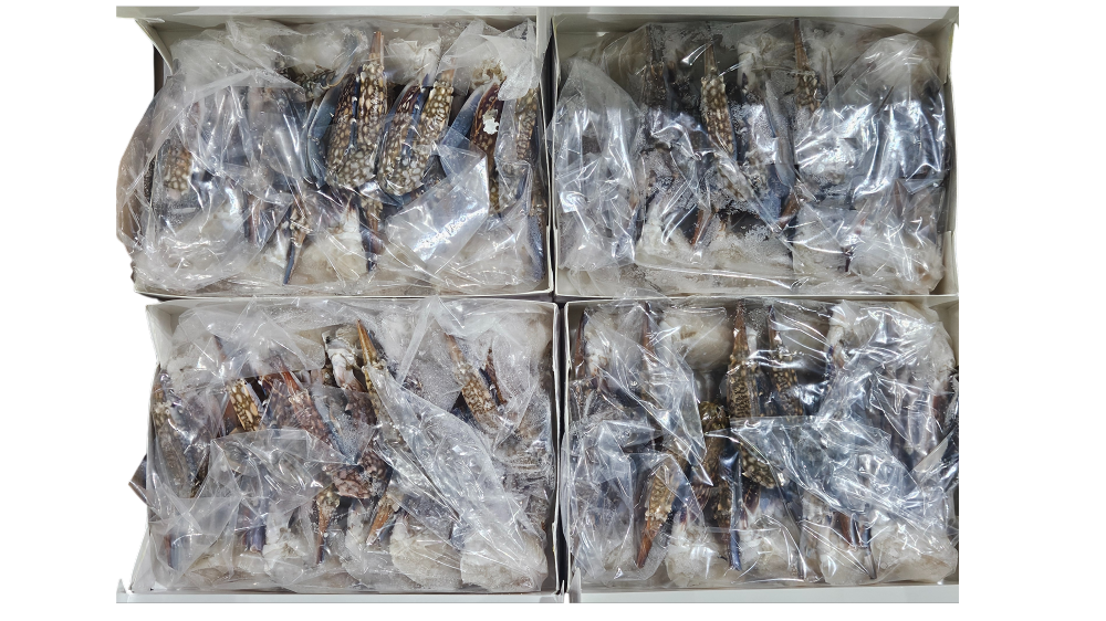 튀니지 절단꽃게 L