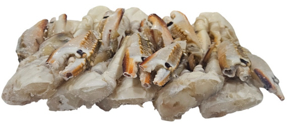 튀니지 절단꽃게 M