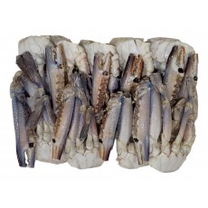 바레인 절단꽃게 L