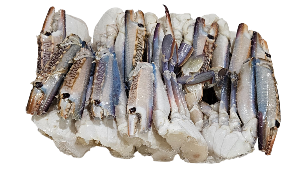 바레인 절단꽃게 M