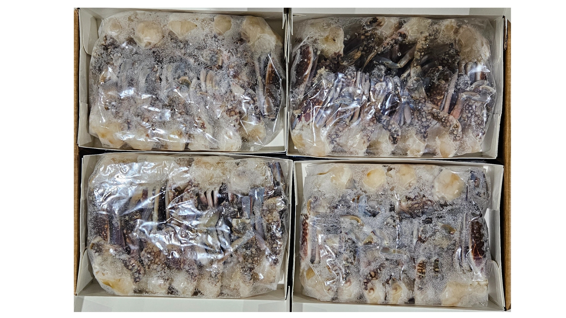 바레인 절단꽃게 M