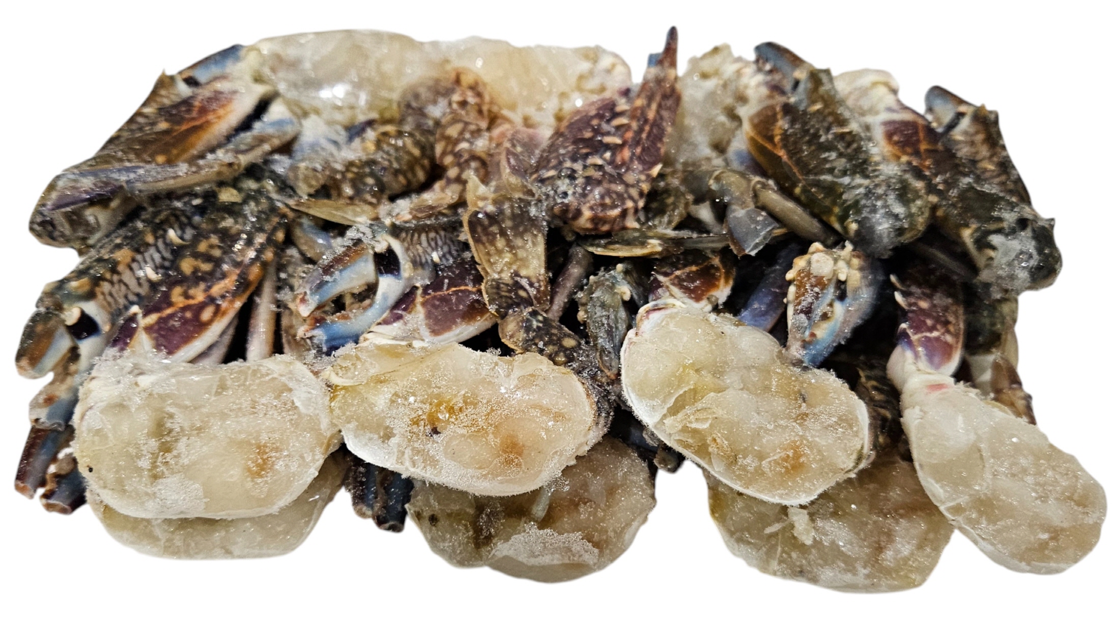 바레인 절단꽃게 S