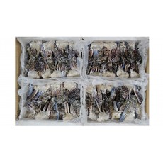 바레인 절단꽃게 S