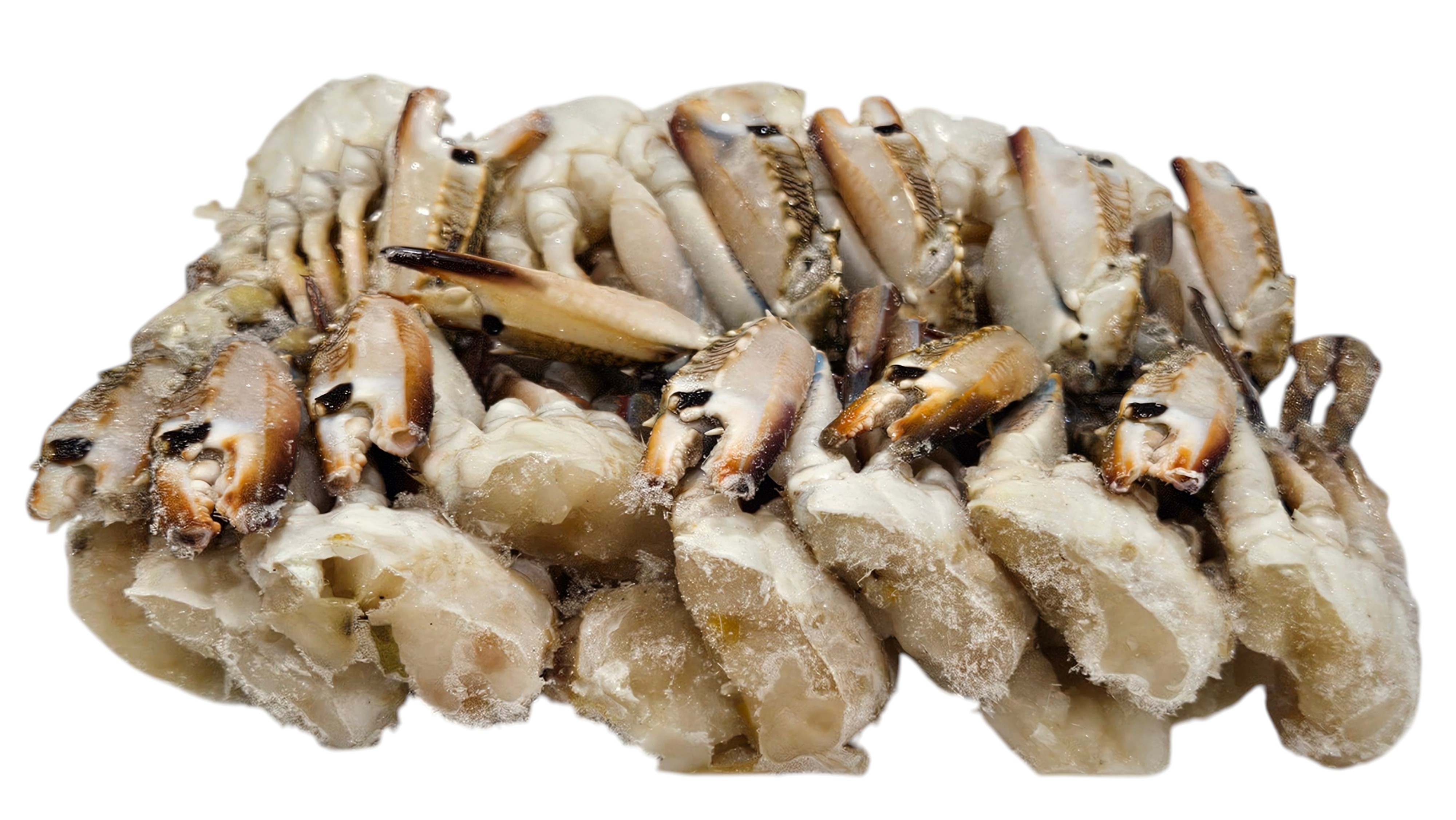 바레인 절단꽃게 2S