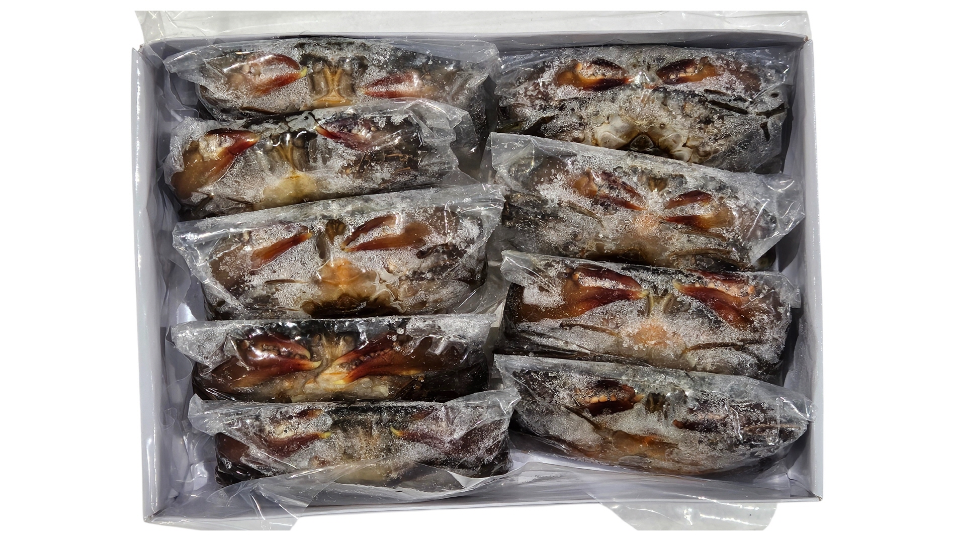 소프트(쉘)크랩, 톱날꽃게 100/200